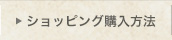 ショッピング購入方法